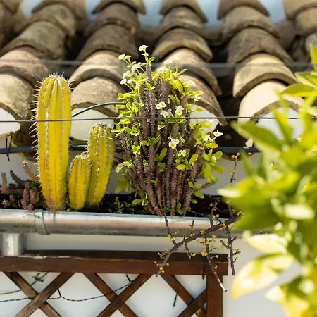 Casa Turistica Patio Cordobes - Parking Privado En La Juderia Cordoba