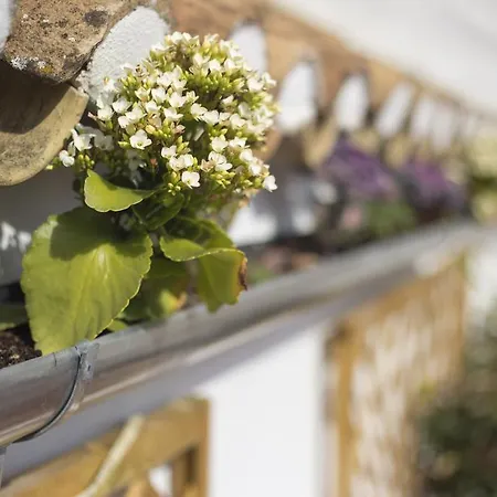 Casa Turistica Patio Cordobes - Parking Privado En La Juderia Апартаменти