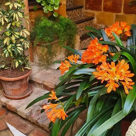 Casa Turística Patio Cordobés - Parking Privado En La Judería *