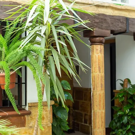 Casa Turistica Patio Cordobes - Parking Privado En La Juderia Apartmán