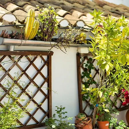 Casa Turistica Patio Cordobes - Parking Privado En La Juderia Córdoba