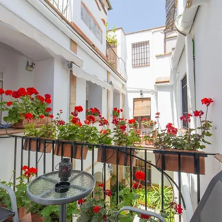 Casa Turistica Patio Cordobes - Parking Privado En La Juderia * Córdoba