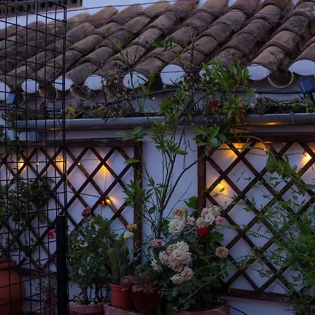 Casa Turistica Patio Cordobes - Parking Privado En La Juderia * Córdoba