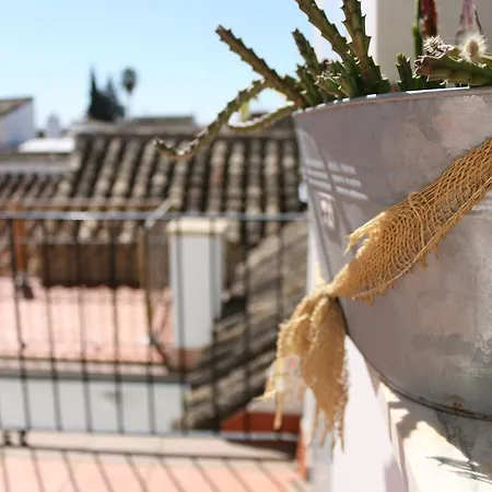Casa Turistica Patio Cordobes - Parking Privado En La Juderia Cordoba