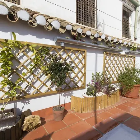 Casa Turística Patio Cordobés - Parking Privado En La Judería *