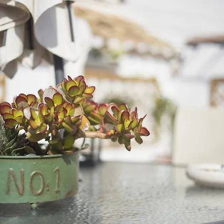 Casa Turistica Patio Cordobes - Parking Privado En La Juderia Appartement *