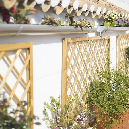 Casa Turistica Patio Cordobes - Parking Privado En La Juderia * Córdoba