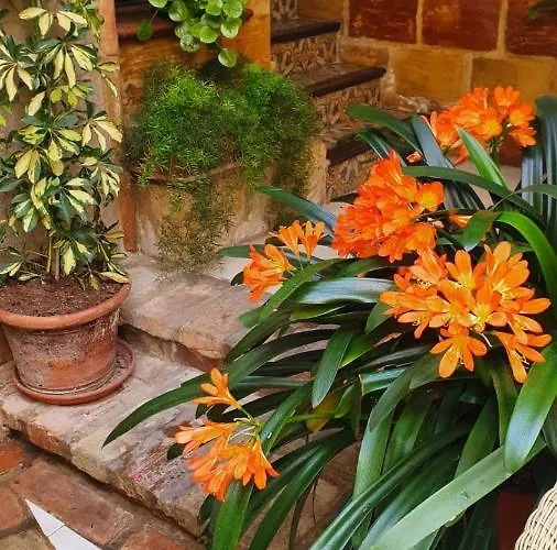 Casa Turistica Patio Cordobes - Parking Privado En La Juderia *