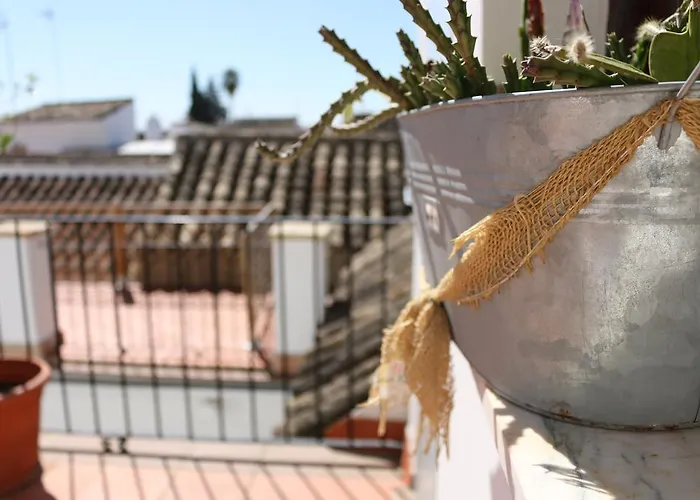 Casa Turistica Patio Cordobes - Parking Privado En La Juderia Κόρδοβα