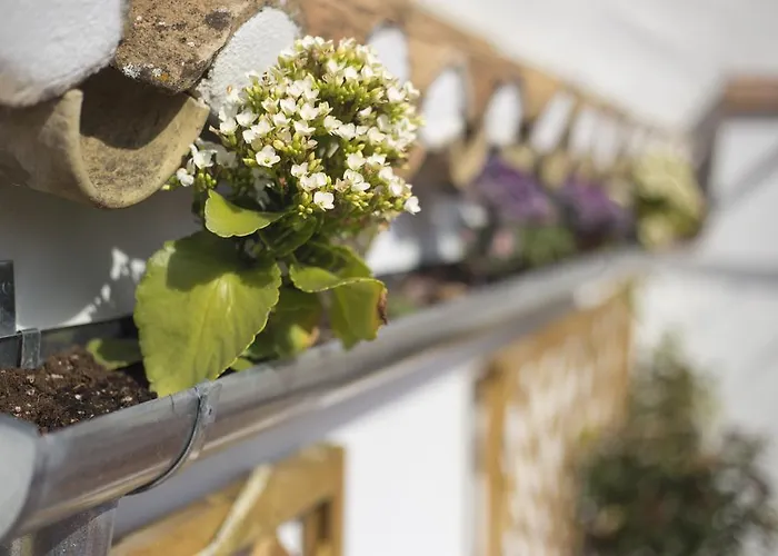 Casa Turistica Patio Cordobes - Parking Privado En La Juderia Apartment