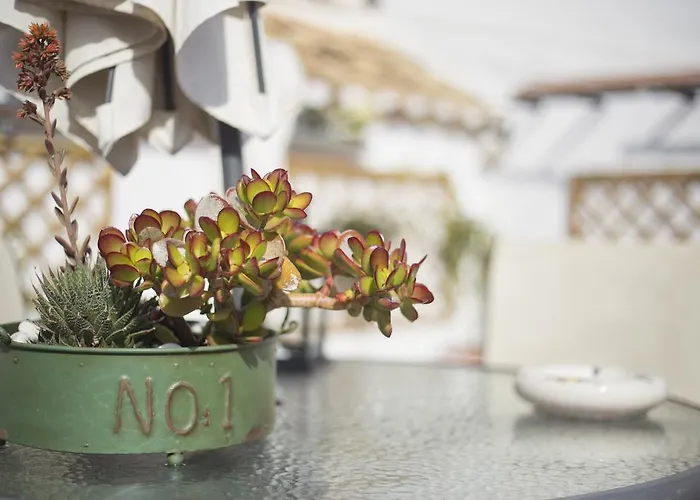 Casa Turistica Patio Cordobes - Parking Privado En La Juderia Daire *