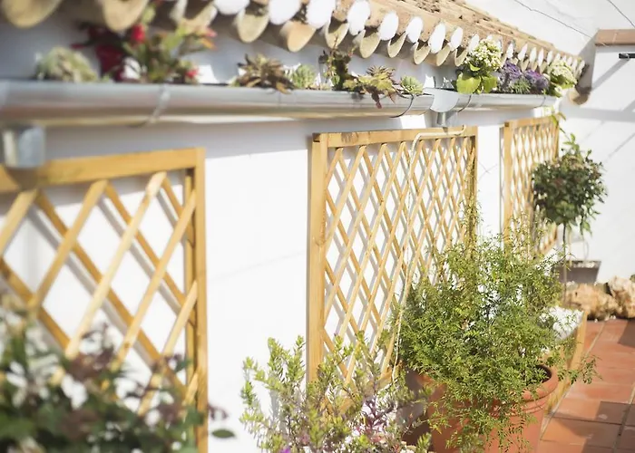 Casa Turistica Patio Cordobes - Parking Privado En La Juderia * Córdoba