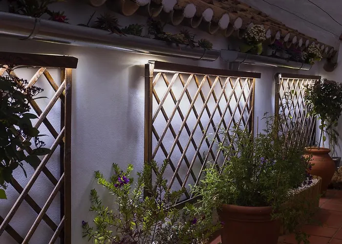 Casa Turistica Patio Cordobes - Parking Privado En La Juderia Appartement